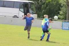 IMG_0001.jpg