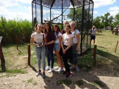DSC00106.JPG