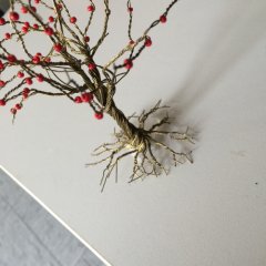 IMG_2556.JPG